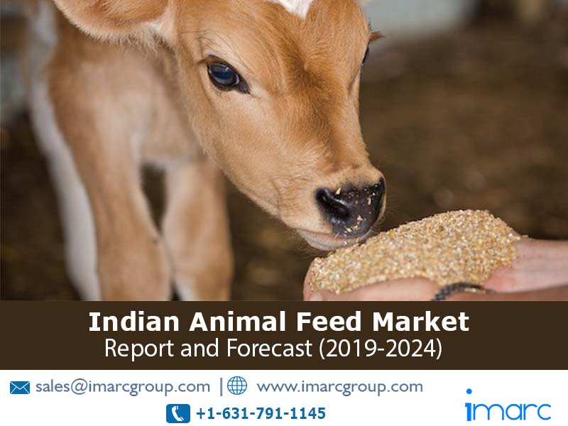 Indian Animal Feed Market Estimated to Exceed INR 898.5 Billion By 2024 IMARC Group FeedsFloor